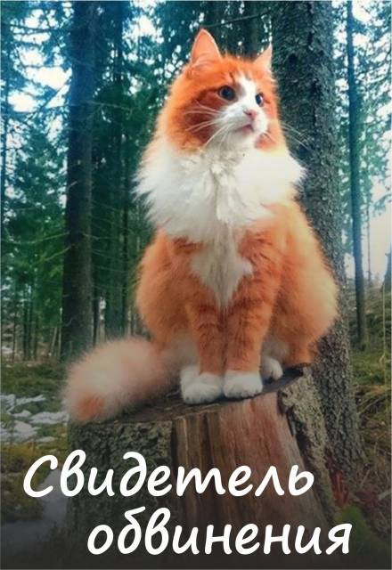 Свидетель обвинения - Алена Волгина Слушать аудио книги онлайн без регистрации полностью бесплатно - knigavkarmane.net