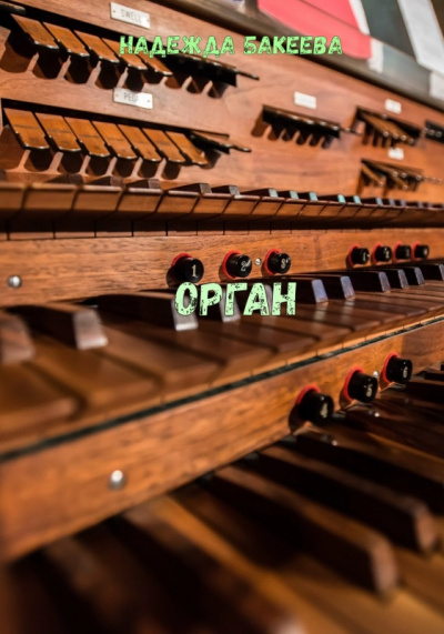 Орган - Надежда Бакеева Слушать аудио книги онлайн без регистрации полностью бесплатно - knigavkarmane.net