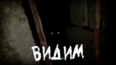ВИДИМ - Андрей Гарин Слушать аудио книги онлайн без регистрации полностью бесплатно - knigavkarmane.net