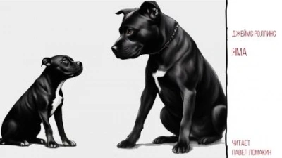 Яма - Джеймс Роллинс Слушать аудио книги онлайн без регистрации полностью бесплатно - knigavkarmane.net