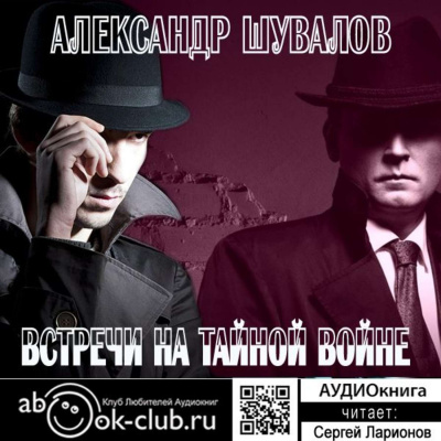 Встречи на тайной войне - Александр Шувалов Слушать аудио книги онлайн без регистрации полностью бесплатно - knigavkarmane.net