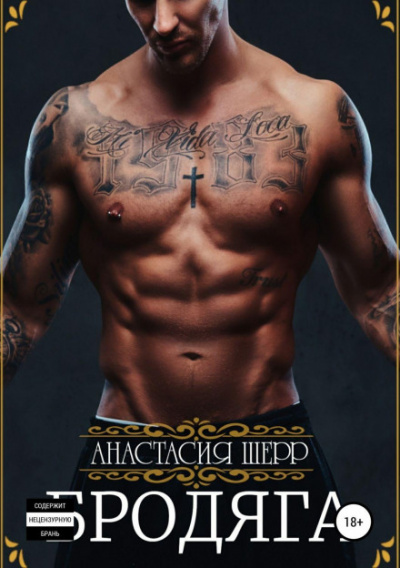 Бродяга - Анастасия Шерр Слушать аудио книги онлайн без регистрации полностью бесплатно - knigavkarmane.net