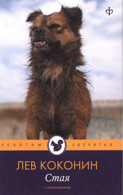 Стая - Лев Коконин Слушать аудио книги онлайн без регистрации полностью бесплатно - knigavkarmane.net