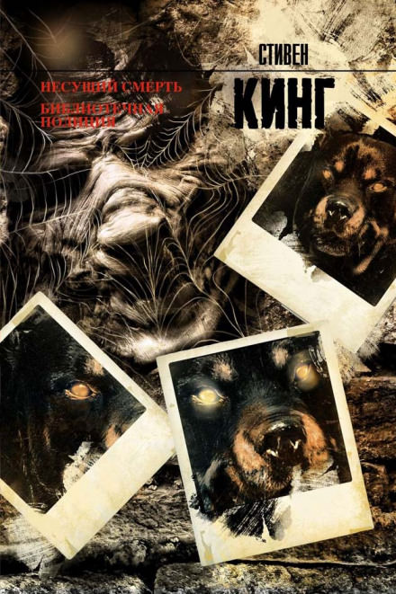 Полицейский из библиотеки - Стивен Кинг Слушать аудио книги онлайн без регистрации полностью бесплатно - knigavkarmane.net