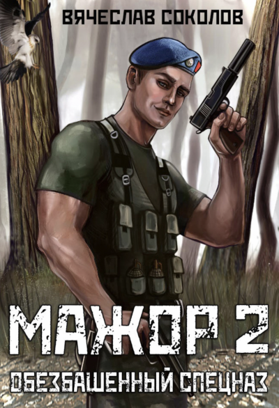 Обезбашенный спецназ - Вячеслав Соколов Слушать аудио книги онлайн без регистрации полностью бесплатно - knigavkarmane.net