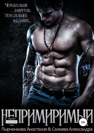 Непримиримый - Александра Салиева, Анастасия Пырченкова Слушать аудио книги онлайн без регистрации полностью бесплатно - knigavkarmane.net
