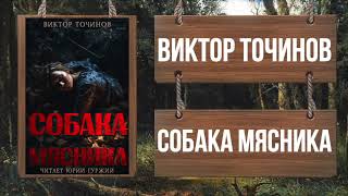 Собака мясника - Виктор Точинов Слушать аудио книги онлайн без регистрации полностью бесплатно - knigavkarmane.net