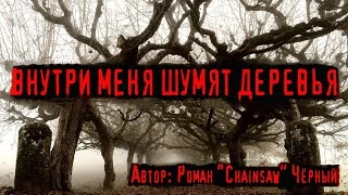 Внутри меня шумят деревья - Роман Черный Слушать аудио книги онлайн без регистрации полностью бесплатно - knigavkarmane.net