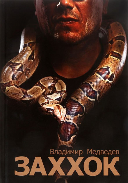 Заххок - Владимир Медведев Слушать аудио книги онлайн без регистрации полностью бесплатно - knigavkarmane.net
