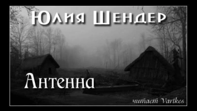 Антенна - Юлия Шендер Слушать аудио книги онлайн без регистрации полностью бесплатно - knigavkarmane.net
