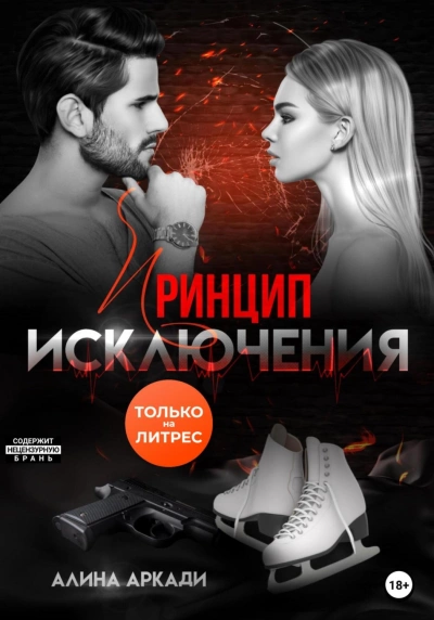 Принцип исключения - Алина Аркади Слушать аудио книги онлайн без регистрации полностью бесплатно - knigavkarmane.net
