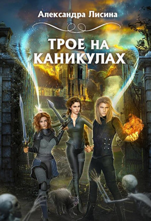 Трое из академии. Трое на каникулах - Александра Лисина (2) Слушать аудио книги онлайн без регистрации полностью бесплатно - knigavkarmane.net