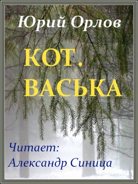 Кот. Васька - Юрий Орлов Слушать аудио книги онлайн без регистрации полностью бесплатно - knigavkarmane.net