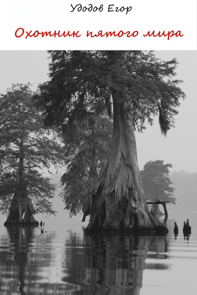 Охотник пятого мира - Егор Удодов Слушать аудио книги онлайн без регистрации полностью бесплатно - knigavkarmane.net