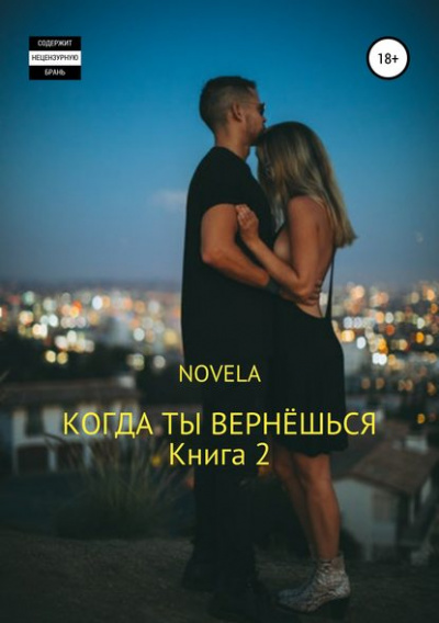 Когда ты вернешься. Книга 2 - Novela Слушать аудио книги онлайн без регистрации полностью бесплатно - knigavkarmane.net