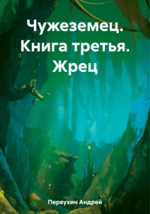 Жрец - Андрей Первухин Слушать аудио книги онлайн без регистрации полностью бесплатно - knigavkarmane.net