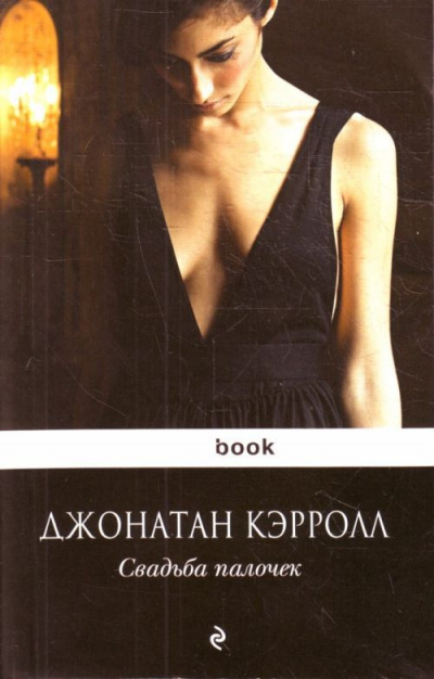 Свадьба палочек - Джонатан Кэрролл Слушать аудио книги онлайн без регистрации полностью бесплатно - knigavkarmane.net