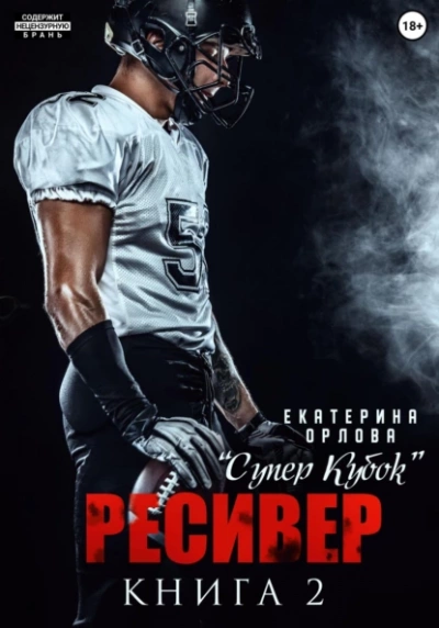 Ресивер - Екатерина Орлова Слушать аудио книги онлайн без регистрации полностью бесплатно - knigavkarmane.net