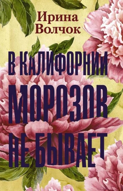 В Калифорнии морозов не бывает - Ирина Волчок Слушать аудио книги онлайн без регистрации полностью бесплатно - knigavkarmane.net