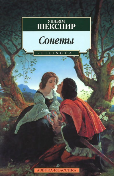 Сонеты - Уильям Шекспир Слушать аудио книги онлайн без регистрации полностью бесплатно - knigavkarmane.net