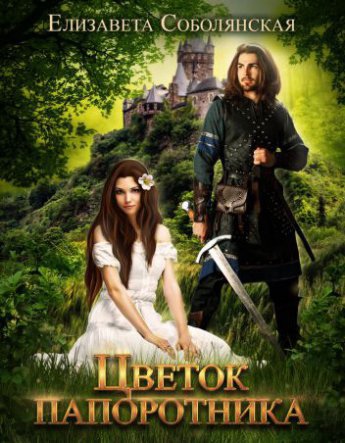 Цветок папоротника - Елизавета Соболянская Слушать аудио книги онлайн без регистрации полностью бесплатно - knigavkarmane.net