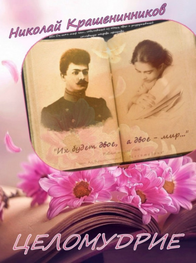 Целомудрие - Николай Крашенинников Слушать аудио книги онлайн без регистрации полностью бесплатно - knigavkarmane.net