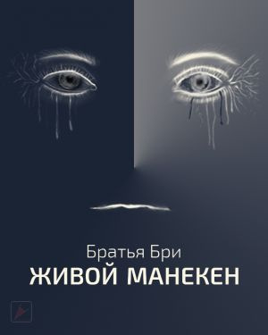 Живой манекен - Братья Бри Слушать аудио книги онлайн без регистрации полностью бесплатно - knigavkarmane.net