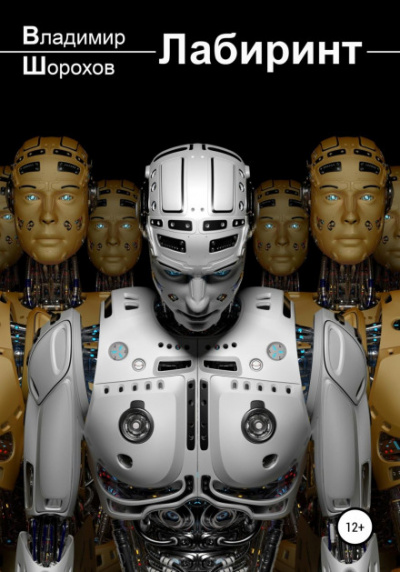 Лабиринт - Владимир Шорохов Слушать аудио книги онлайн без регистрации полностью бесплатно - knigavkarmane.net