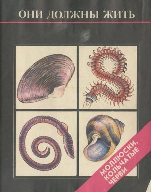 Они должны жить. Моллюски и кольчатые черви - Надежда Кочетова, Ирина Парамонова Слушать аудио книги онлайн без регистрации полностью бесплатно - knigavkarmane.net