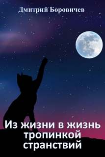 Из жизни в жизнь тропинкой странствий - Дмитрий Боровичёв Слушать аудио книги онлайн без регистрации полностью бесплатно - knigavkarmane.net