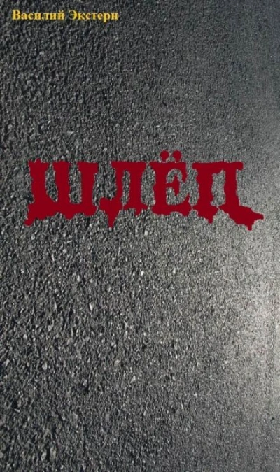 Шлёп - Василий Экстерн Слушать аудио книги онлайн без регистрации полностью бесплатно - knigavkarmane.net