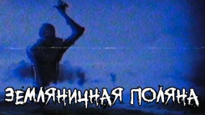 Земляничная поляна - FrFr Слушать аудио книги онлайн без регистрации полностью бесплатно - knigavkarmane.net