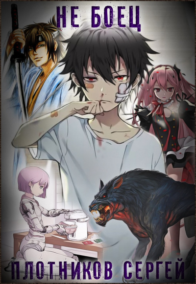 Не Боец - Сергей Плотников Слушать аудио книги онлайн без регистрации полностью бесплатно - knigavkarmane.net