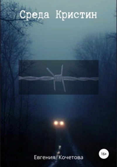 Среда Кристин - Евгения Кочетова Слушать аудио книги онлайн без регистрации полностью бесплатно - knigavkarmane.net