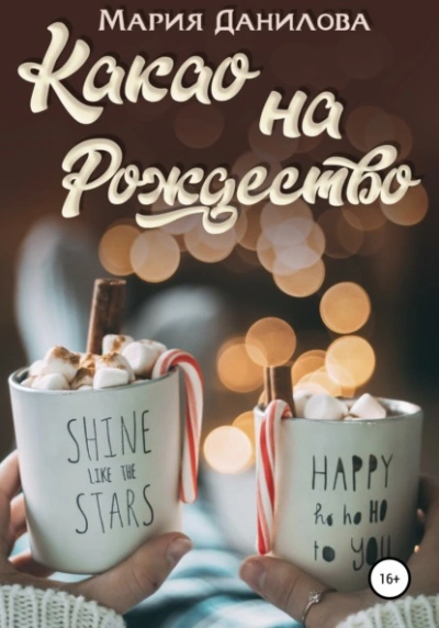Какао на рождество - Мария Данилова Слушать аудио книги онлайн без регистрации полностью бесплатно - knigavkarmane.net