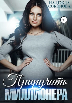 Приручить миллионера - Надежда Соколова Слушать аудио книги онлайн без регистрации полностью бесплатно - knigavkarmane.net