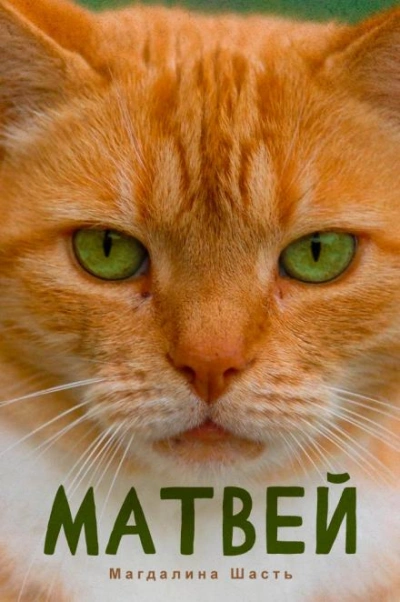Матвей - Магдалина Шасть Слушать аудио книги онлайн без регистрации полностью бесплатно - knigavkarmane.net