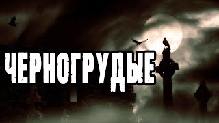 Черногрудые - Лин Яровой Слушать аудио книги онлайн без регистрации полностью бесплатно - knigavkarmane.net