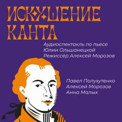Искушение Канта - Юлия Ольшанецкая Слушать аудио книги онлайн без регистрации полностью бесплатно - knigavkarmane.net