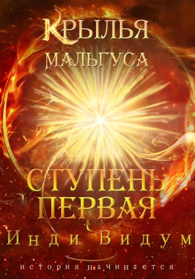 Ступень первая - Инди Видум Слушать аудио книги онлайн без регистрации полностью бесплатно - knigavkarmane.net