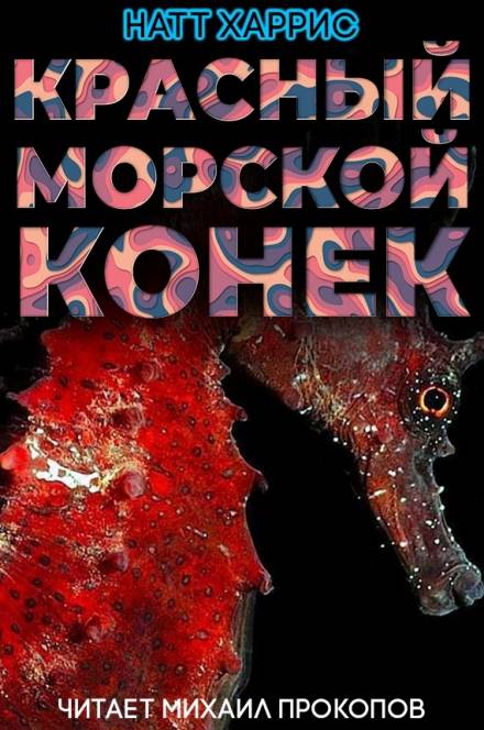 Красный морской конёк - Данимира То Слушать аудио книги онлайн без регистрации полностью бесплатно - knigavkarmane.net