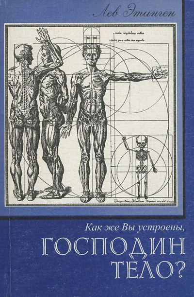 Как же Вы устроены, Господин Тело? - Лев Этинген Слушать аудио книги онлайн без регистрации полностью бесплатно - knigavkarmane.net