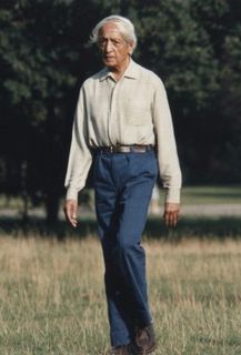 Дневник Кришнамурти - Джидду Кришнамурти Слушать аудио книги онлайн без регистрации полностью бесплатно - knigavkarmane.net