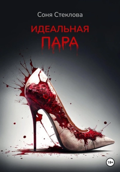 Идеальная пара - Соня Стеклова Слушать аудио книги онлайн без регистрации полностью бесплатно - knigavkarmane.net