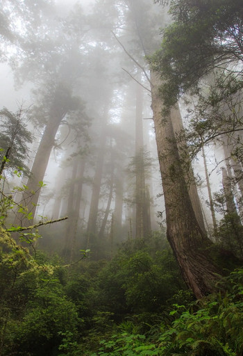 Жизнь – боль - Хайдарали Усманов (7) Слушать аудио книги онлайн без регистрации полностью бесплатно - knigavkarmane.net