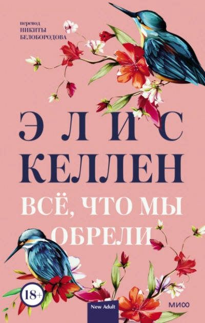 Всё, что мы обрели - Элис Келлен Слушать аудио книги онлайн без регистрации полностью бесплатно - knigavkarmane.net