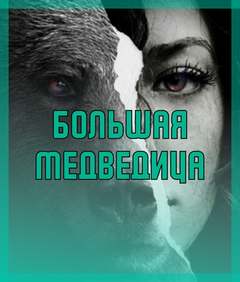 Большая медведица - Ольга Морган Слушать аудио книги онлайн без регистрации полностью бесплатно - knigavkarmane.net