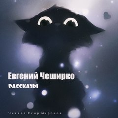 Рассказы - Евгений ЧеширКо Слушать аудио книги онлайн без регистрации полностью бесплатно - knigavkarmane.net