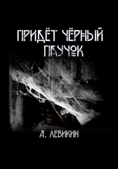 Придёт чёрный паучок - Алексей Левикин Слушать аудио книги онлайн без регистрации полностью бесплатно - knigavkarmane.net