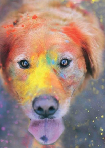 Догхантер. Радужный мост - Евгений Сафронов Слушать аудио книги онлайн без регистрации полностью бесплатно - knigavkarmane.net